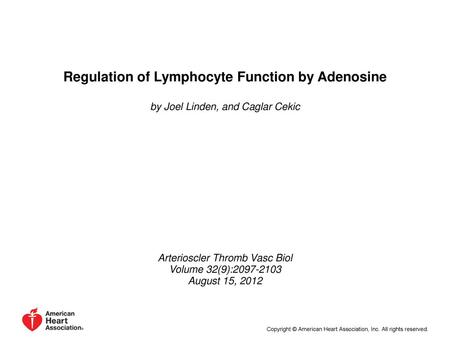 Regulation of Lymphocyte Function by Adenosine