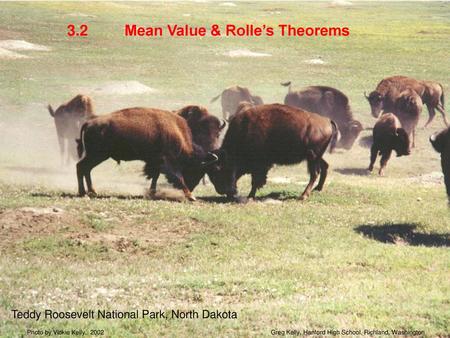 Mean Value & Rolle’s Theorems