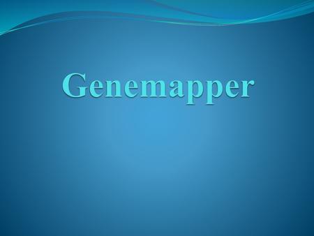 Genemapper.