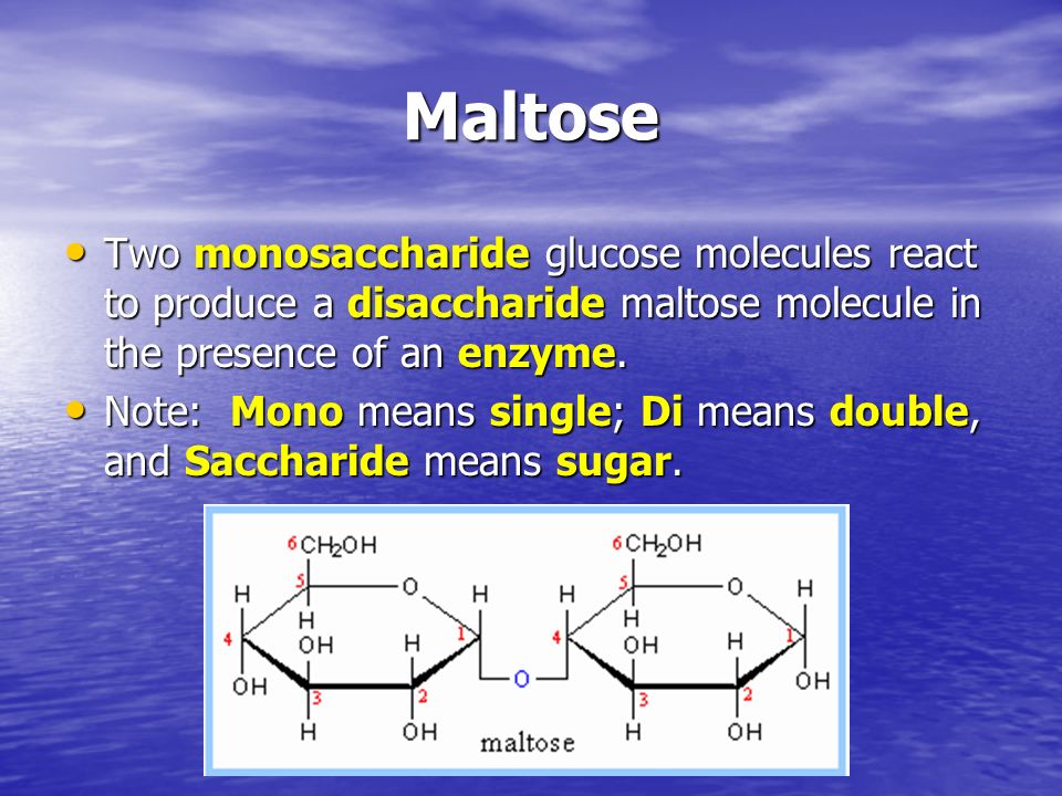 Maltose And Water React To Form Two Molecules Of Glucose In What Process 17
