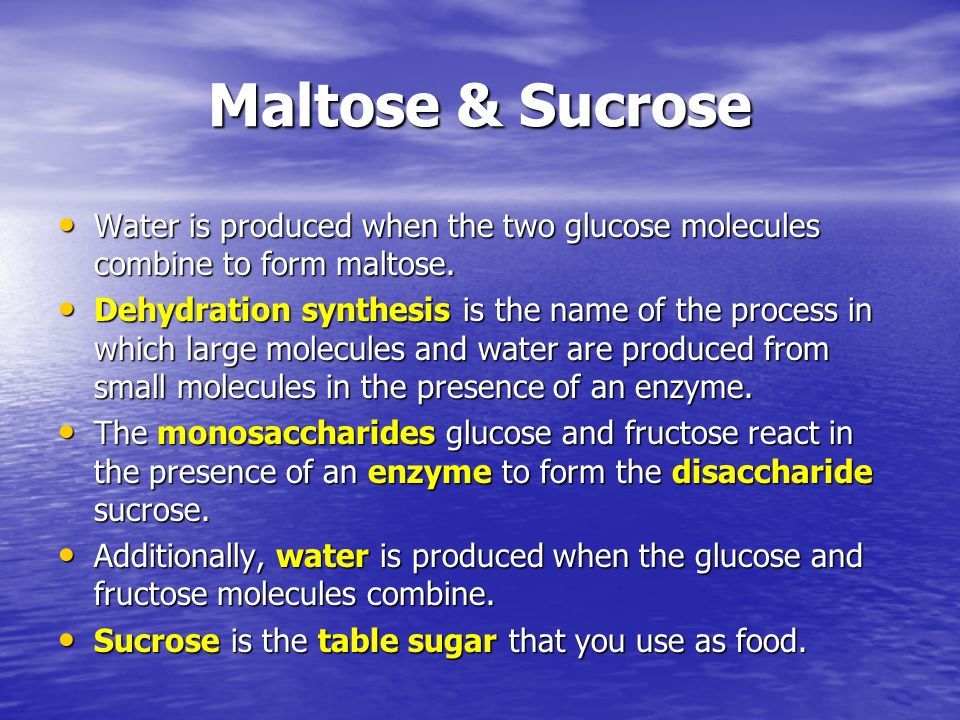 Maltose And Water React To Form Two Molecules Of Glucose In What Process 62