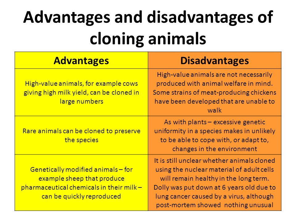 cloning debate pros and cons