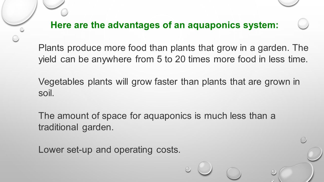 Aquaponics is a way to grow food: - ppt video online download