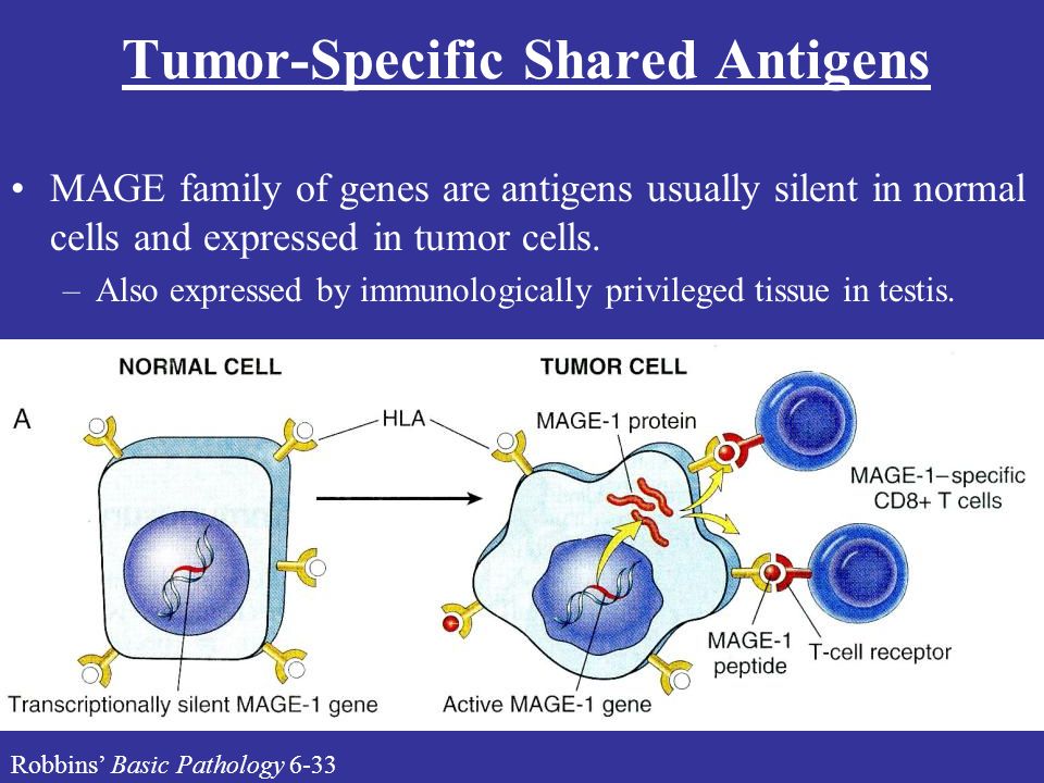 download recent advances in