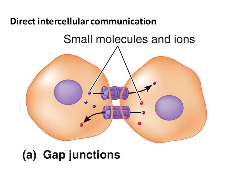 online interfacial forces in