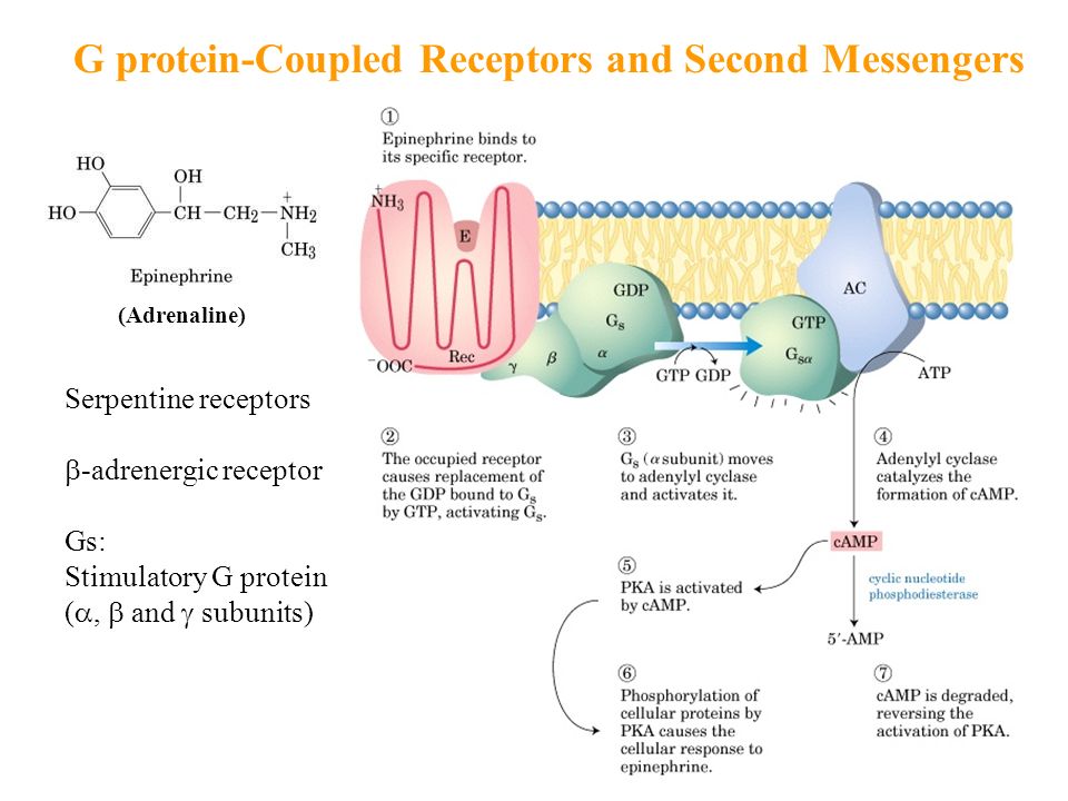 read advanced sensor and detection