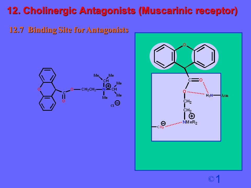 download gene regulation and