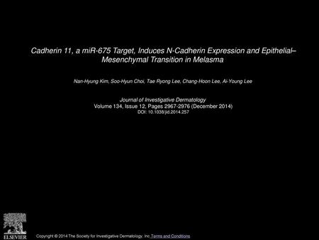 Cadherin 11, a miR-675 Target, Induces N-Cadherin Expression and Epithelial– Mesenchymal Transition in Melasma  Nan-Hyung Kim, Soo-Hyun Choi, Tae Ryong.