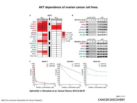 AKT dependence of ovarian cancer cell lines.