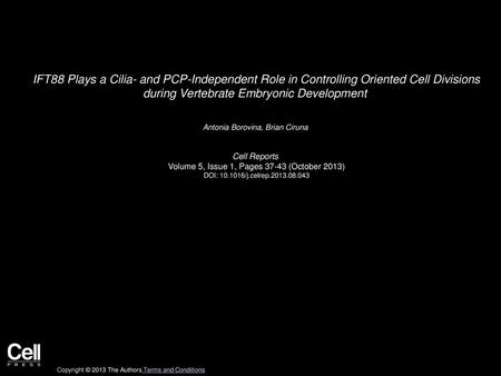 IFT88 Plays a Cilia- and PCP-Independent Role in Controlling Oriented Cell Divisions during Vertebrate Embryonic Development  Antonia Borovina, Brian.