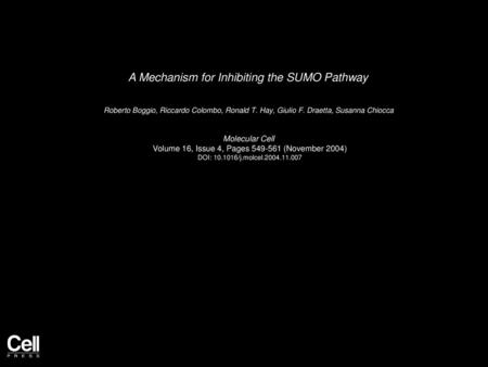 A Mechanism for Inhibiting the SUMO Pathway