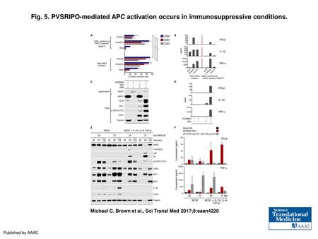 PVSRIPO-mediated APC activation occurs in immunosuppressive conditions