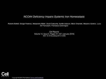 NCOA4 Deficiency Impairs Systemic Iron Homeostasis
