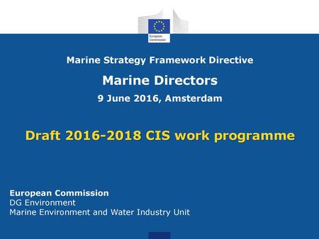 Draft CIS work programme