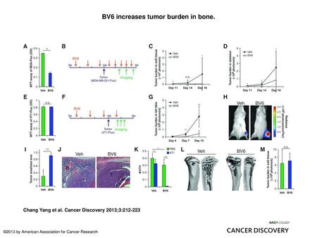 BV6 increases tumor burden in bone.