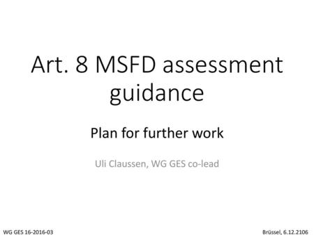 Art. 8 MSFD assessment guidance