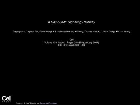 A Rac-cGMP Signaling Pathway