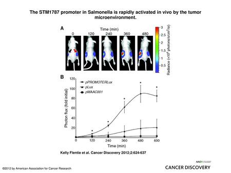 The STM1787 promoter in Salmonella is rapidly activated in vivo by the tumor microenvironment. The STM1787 promoter in Salmonella is rapidly activated.
