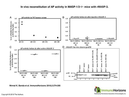 In vivo reconstitution of AP activity in MASP-1/3−/− mice with rMASP-3