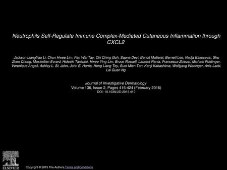 Neutrophils Self-Regulate Immune Complex-Mediated Cutaneous Inflammation through CXCL2  Jackson LiangYao Li, Chun Hwee Lim, Fen Wei Tay, Chi Ching Goh,