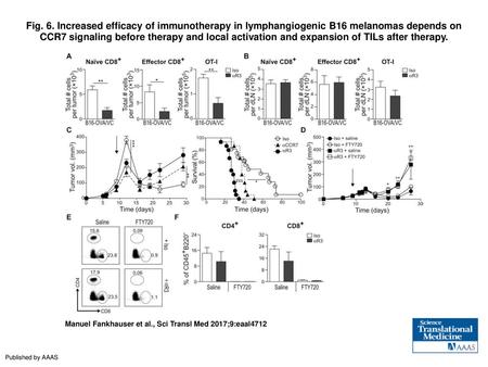 Fig. 6. Increased efficacy of immunotherapy in lymphangiogenic B16 melanomas depends on CCR7 signaling before therapy and local activation and expansion.