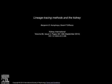 Lineage-tracing methods and the kidney
