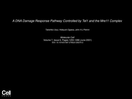 A DNA Damage Response Pathway Controlled by Tel1 and the Mre11 Complex