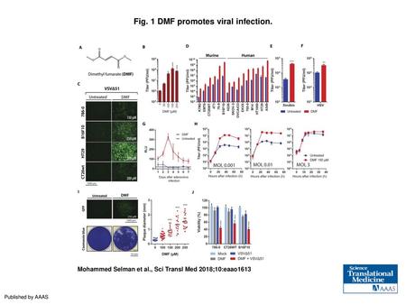 Fig. 1 DMF promotes viral infection.