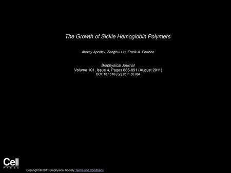 The Growth of Sickle Hemoglobin Polymers