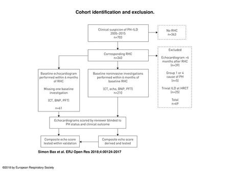 Cohort identification and exclusion.