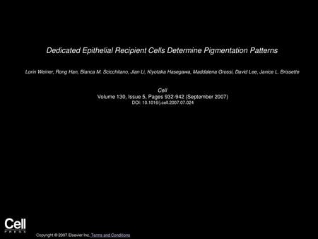 Dedicated Epithelial Recipient Cells Determine Pigmentation Patterns