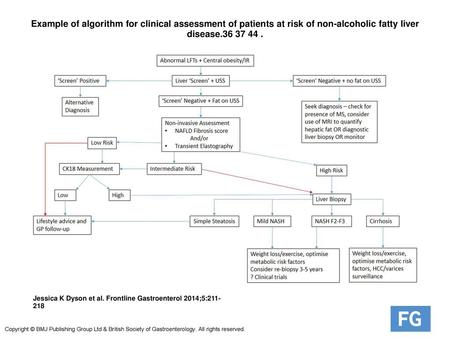 Example of algorithm for clinical assessment of patients at risk of non-alcoholic fatty liver disease.36 37 44 . Example of algorithm for clinical assessment.