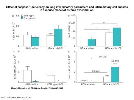 Effect of caspase-1 deficiency on lung inflammatory parameters and inflammatory cell subsets in a mouse model of asthma exacerbation. Effect of caspase-1.