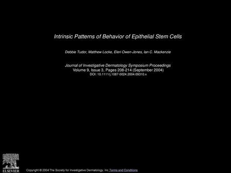 Intrinsic Patterns of Behavior of Epithelial Stem Cells
