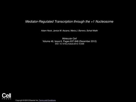 Mediator-Regulated Transcription through the +1 Nucleosome