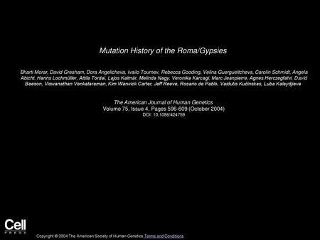 Mutation History of the Roma/Gypsies