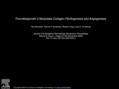 Thrombospondin 2 Modulates Collagen Fibrillogenesis and Angiogenesis