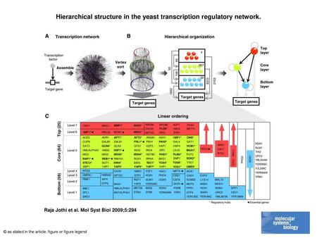 Hierarchical structure in the yeast transcription regulatory network.