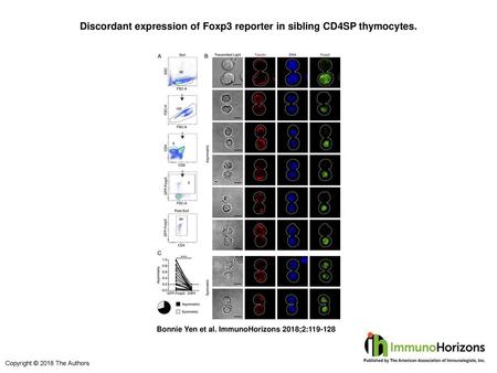 Discordant expression of Foxp3 reporter in sibling CD4SP thymocytes.