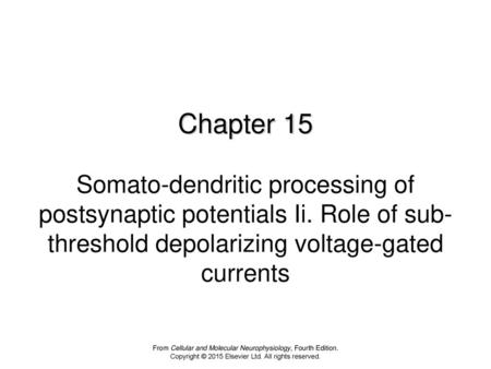 Chapter 15 Somato-dendritic processing of postsynaptic potentials Ii