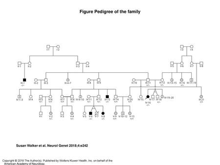 Figure Pedigree of the family