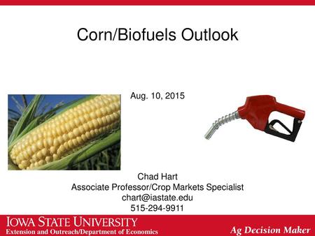 Corn/Biofuels Outlook