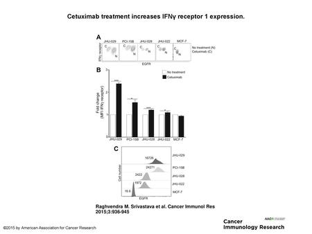 Cetuximab treatment increases IFNγ receptor 1 expression.