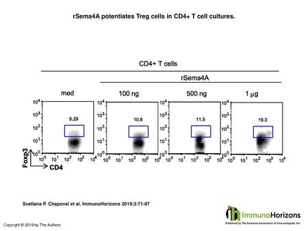 rSema4A potentiates Treg cells in CD4+ T cell cultures.