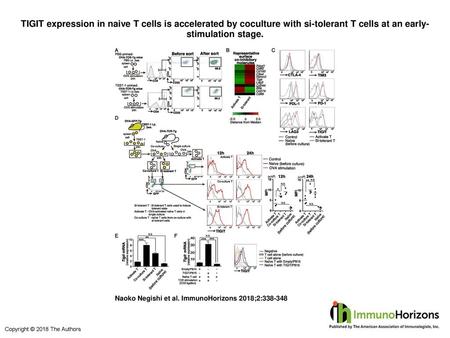 TIGIT expression in naive T cells is accelerated by coculture with si-tolerant T cells at an early-stimulation stage. TIGIT expression in naive T cells.