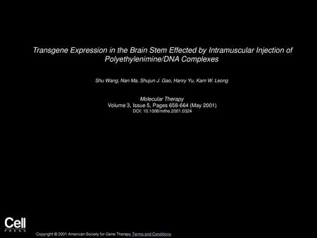 Transgene Expression in the Brain Stem Effected by Intramuscular Injection of Polyethylenimine/DNA Complexes  Shu Wang, Nan Ma, Shujun J. Gao, Hanry Yu,