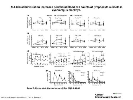 ALT-803 administration increases peripheral blood cell counts of lymphocyte subsets in cynomolgus monkeys. ALT-803 administration increases peripheral.