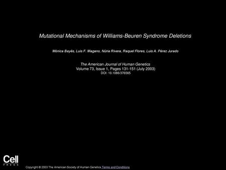 Mutational Mechanisms of Williams-Beuren Syndrome Deletions