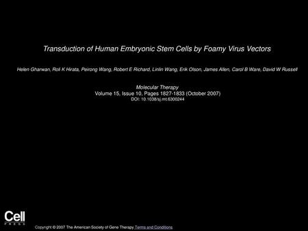 Transduction of Human Embryonic Stem Cells by Foamy Virus Vectors