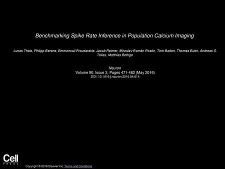 Benchmarking Spike Rate Inference in Population Calcium Imaging